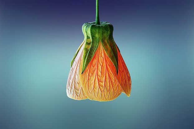 Banner bloem